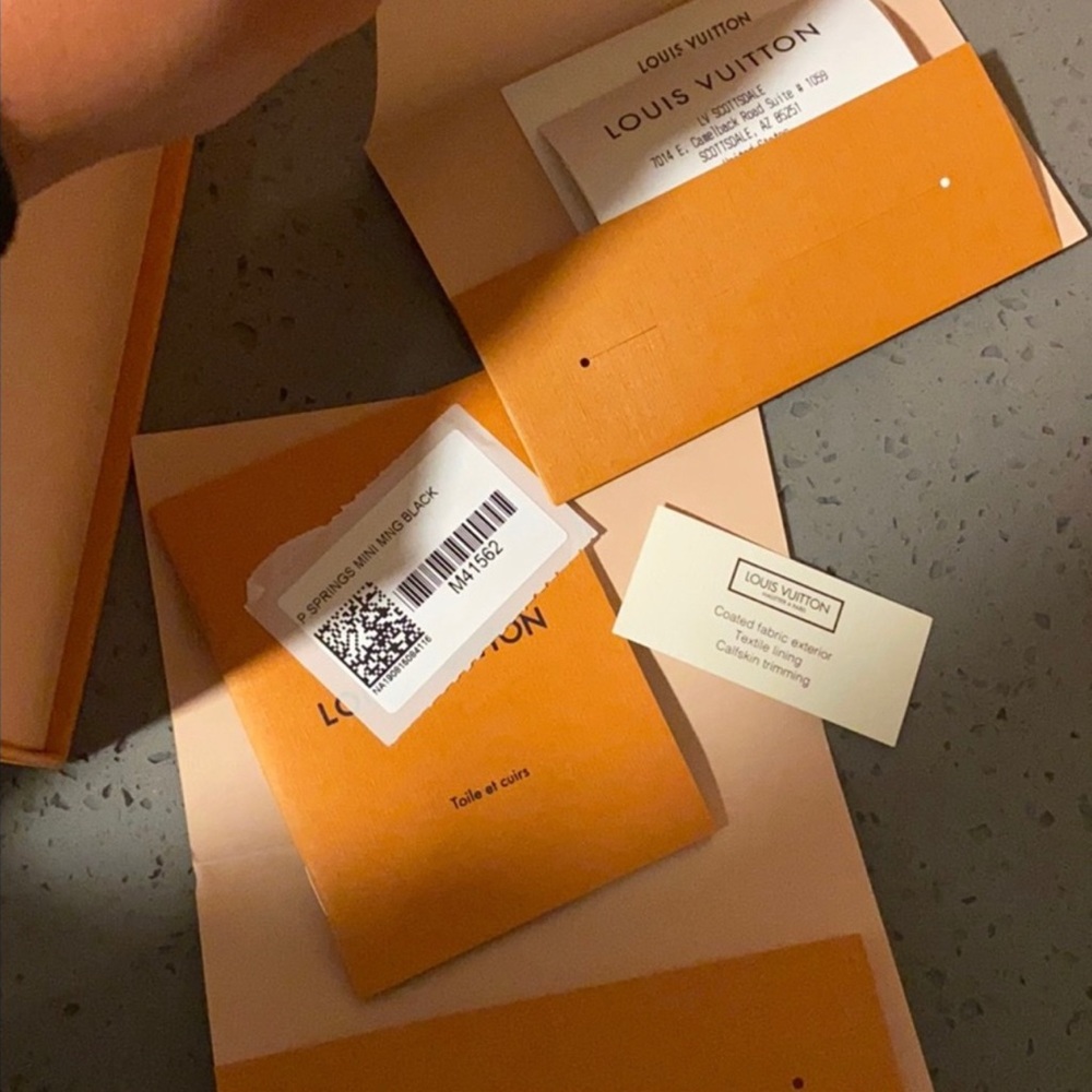 Louis Vuitton Palm Springs Mini Backpack - Picture 5 of 12